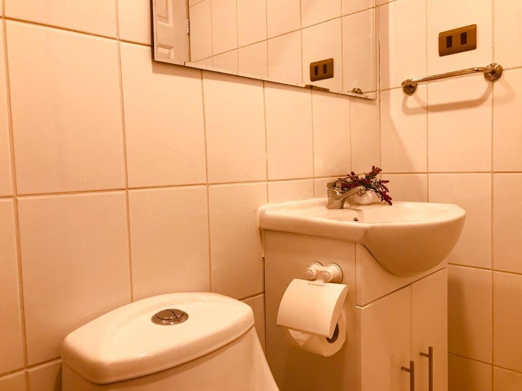 تيموكو Apart Hotel Don Domingo المظهر الخارجي الصورة